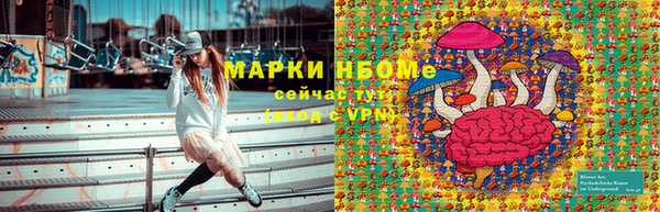 бошки Алексин