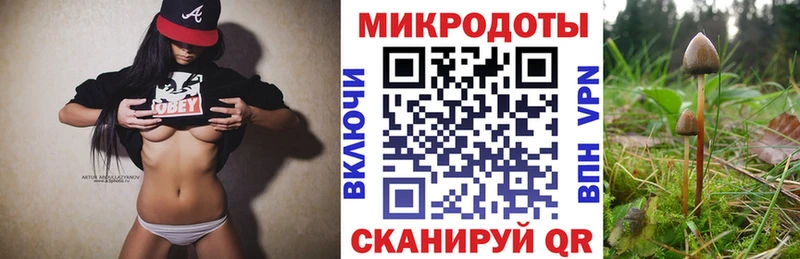 blacksprut как зайти  Ишим  Псилоцибиновые грибы прущие грибы 